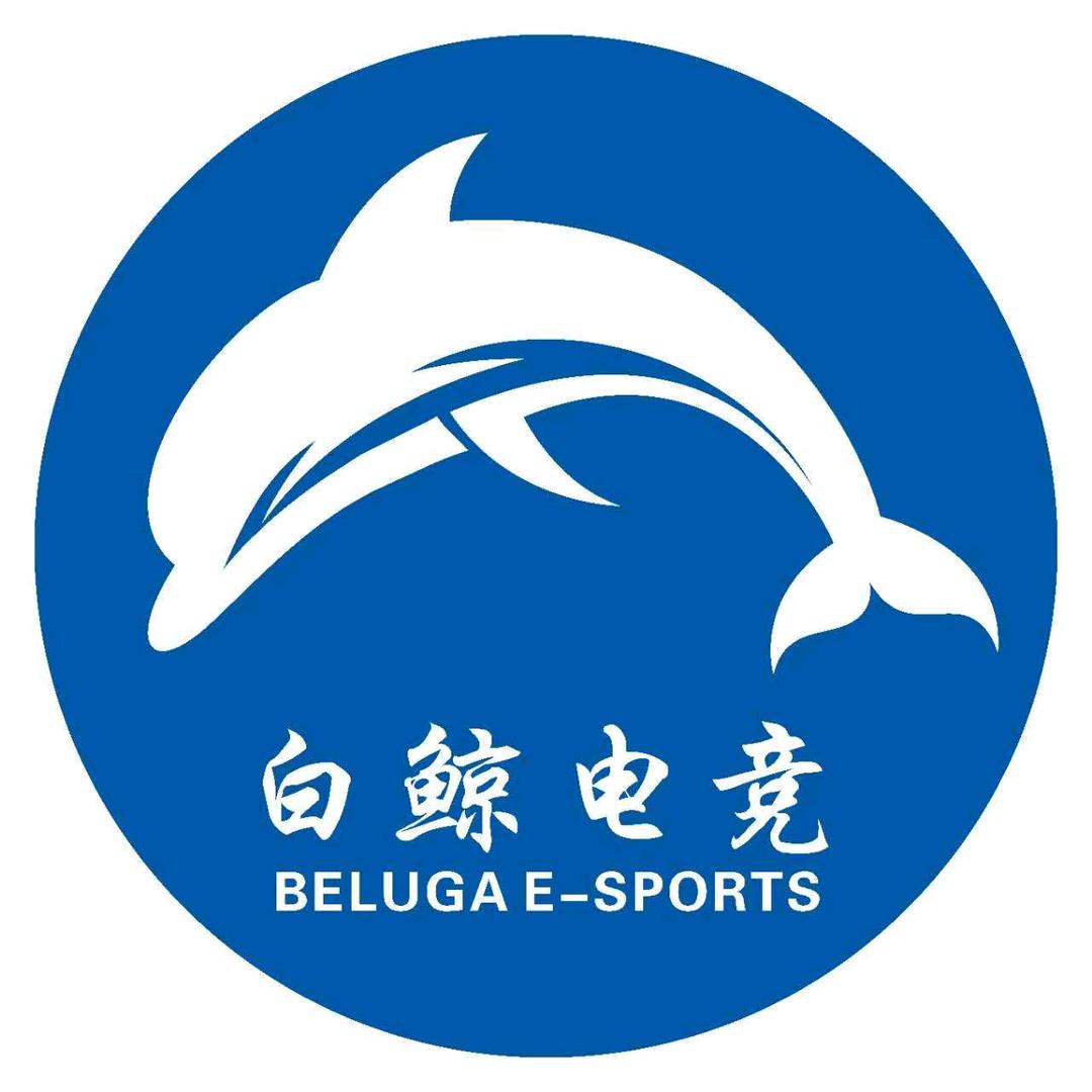 白鲸电竞~专注用户体验