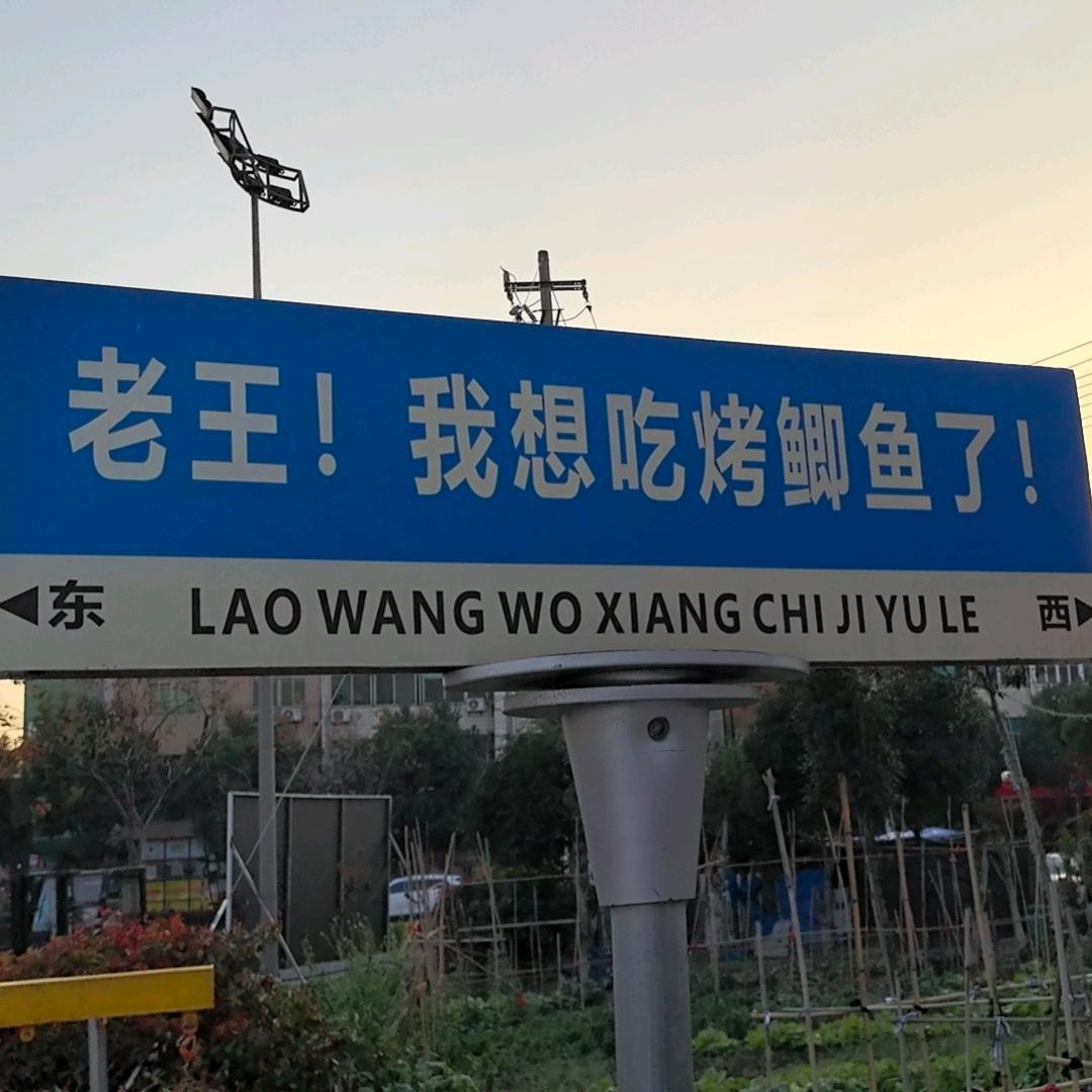 Bu说话