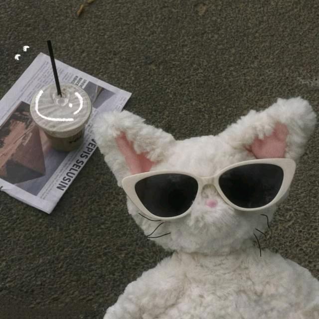 外面在下猫猫雨