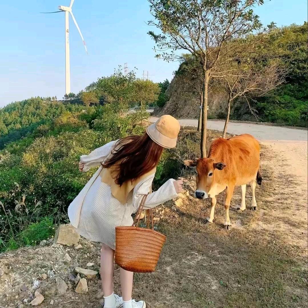 小哈尼🚶‍♂️🤟