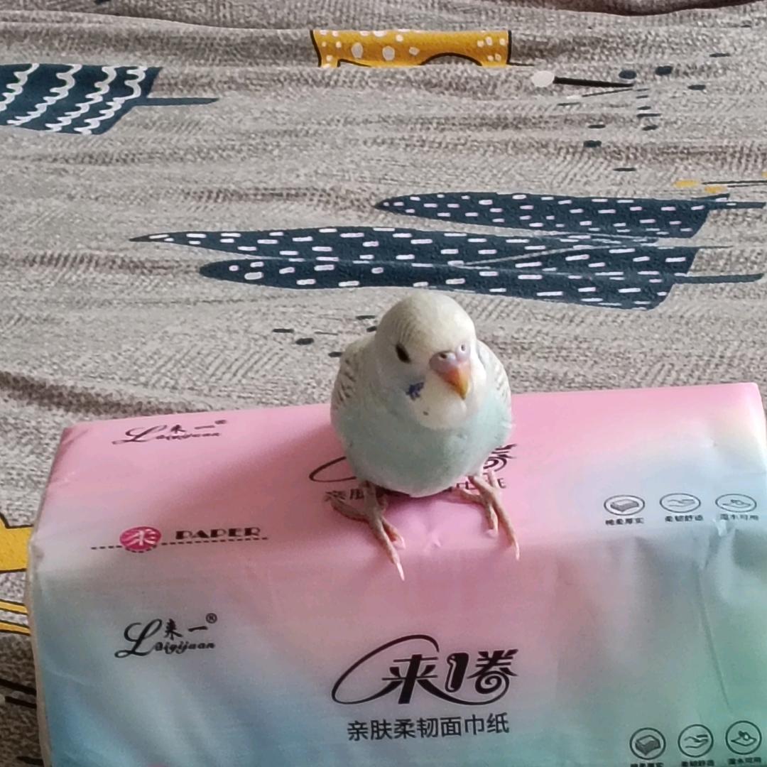 雨琦、曲琦923🍪(收徒)