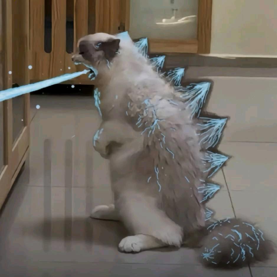 你别过来，再过来我打你了