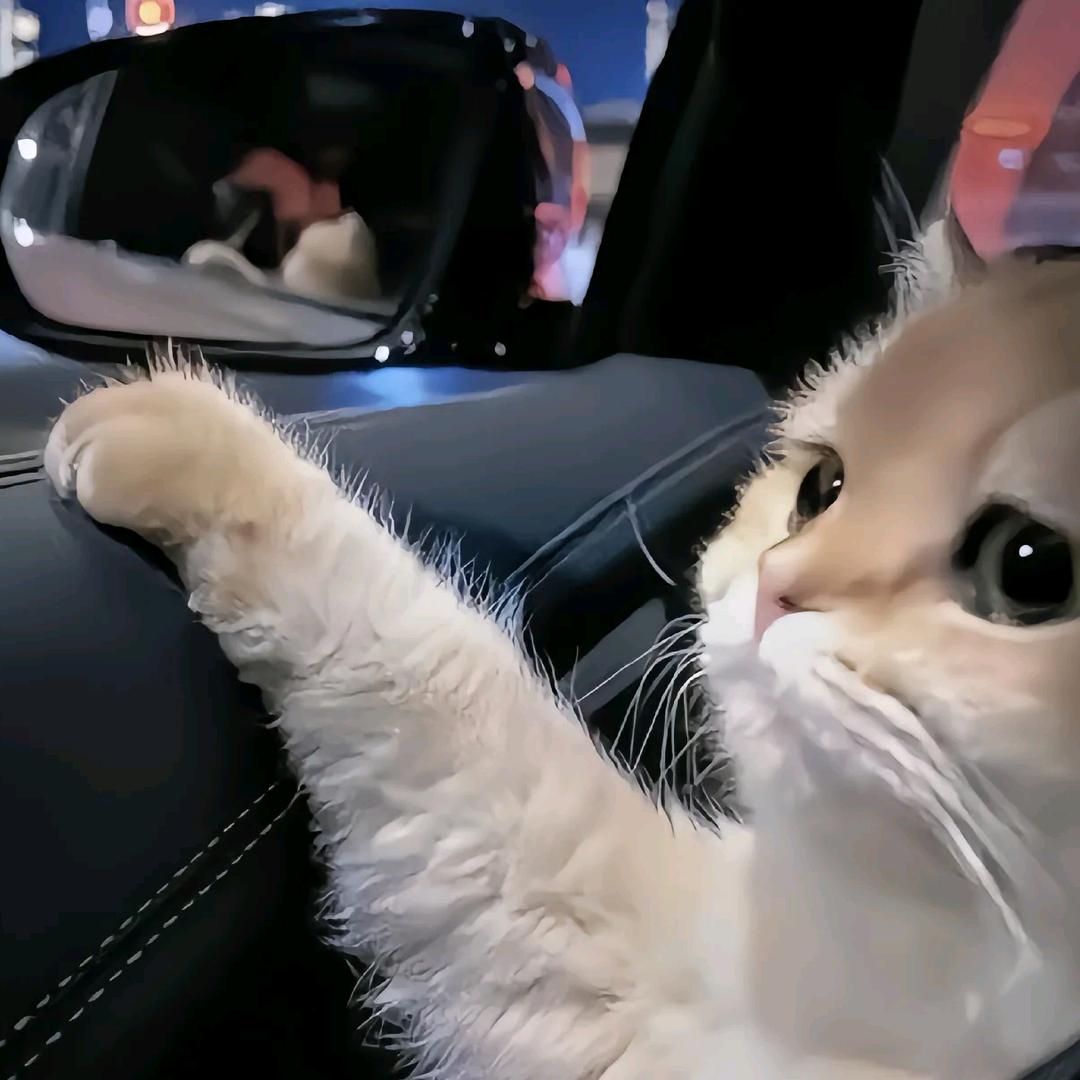 干饭叁碗起步📷