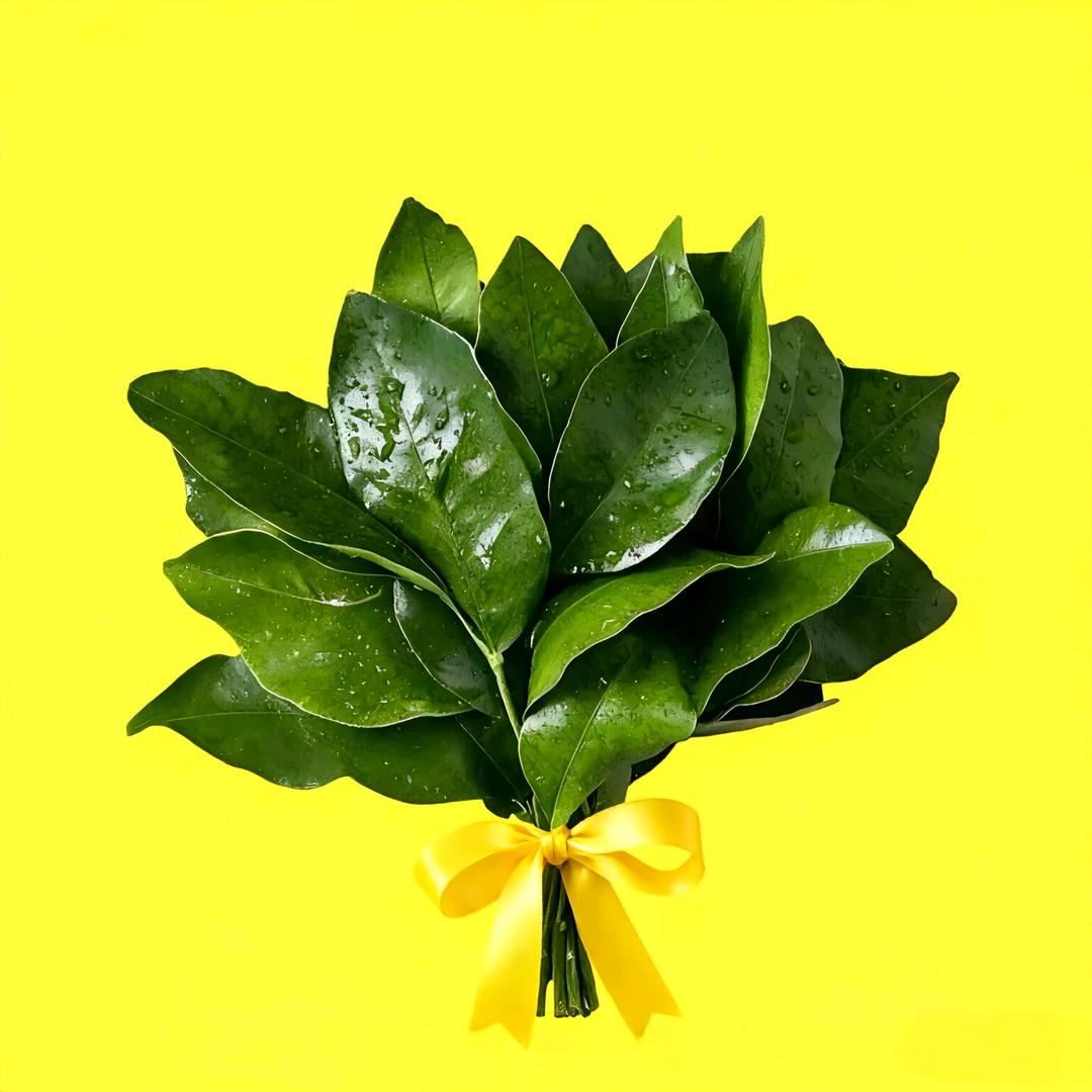 এ᭄一夜暴傅ྀ࿐