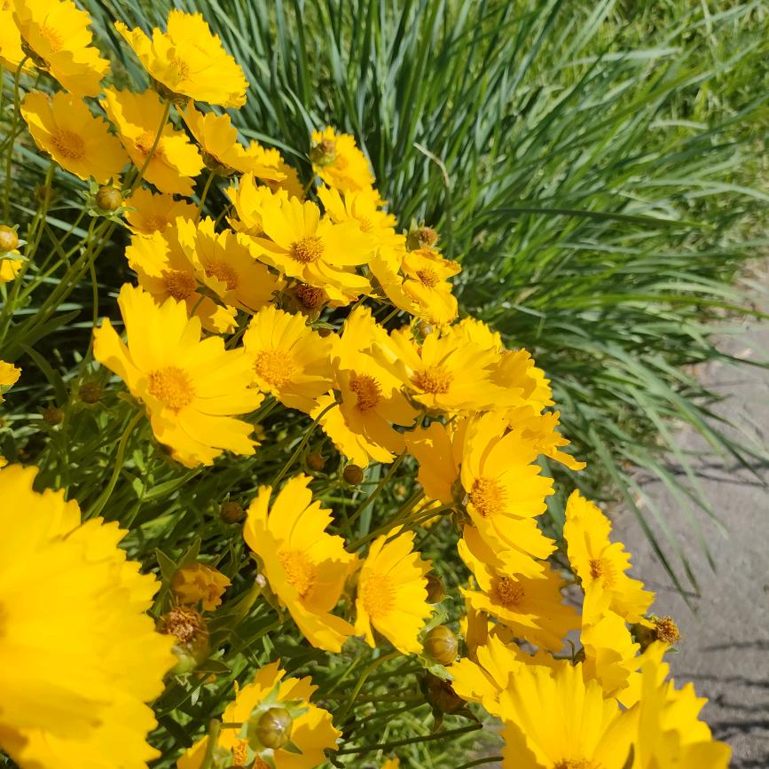 大不了从头再来