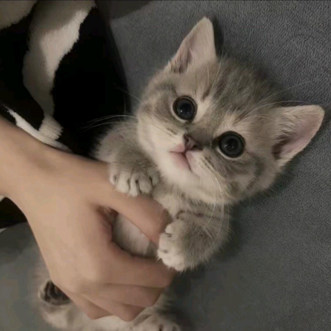 ᝰꫛꫀꪝ𐂂霓虹