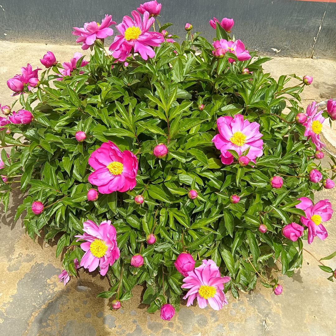 辉煌的时刻要靠自己打拼