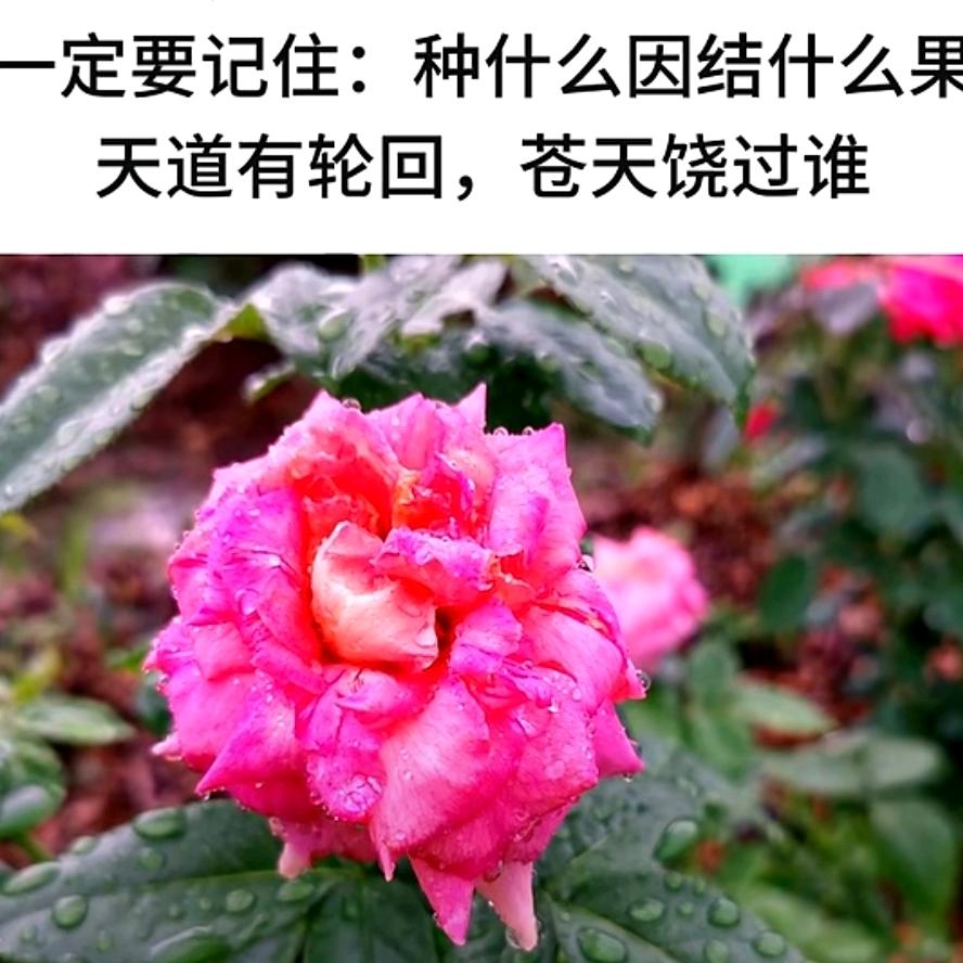 坝坝宴严治洪
