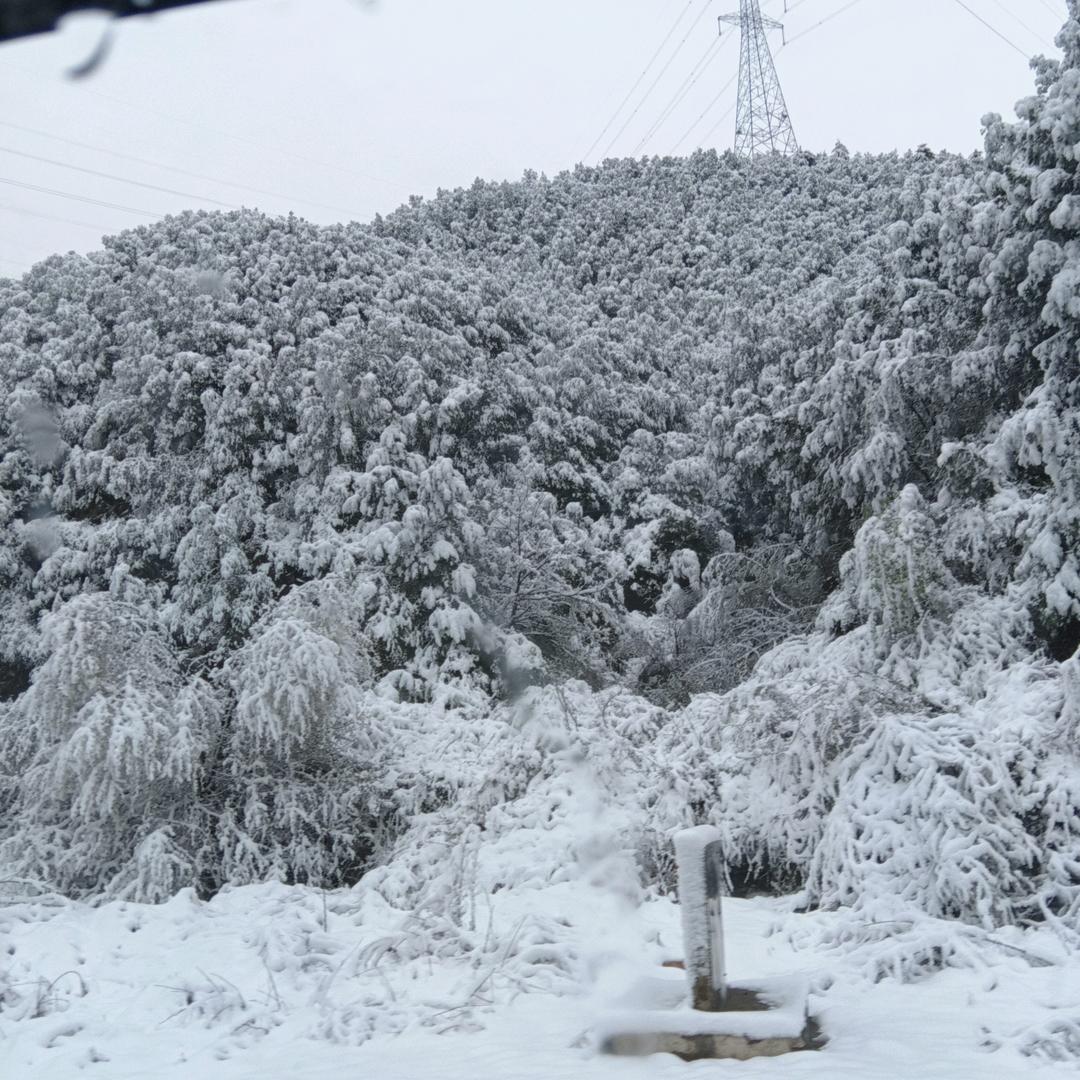 雪中梦