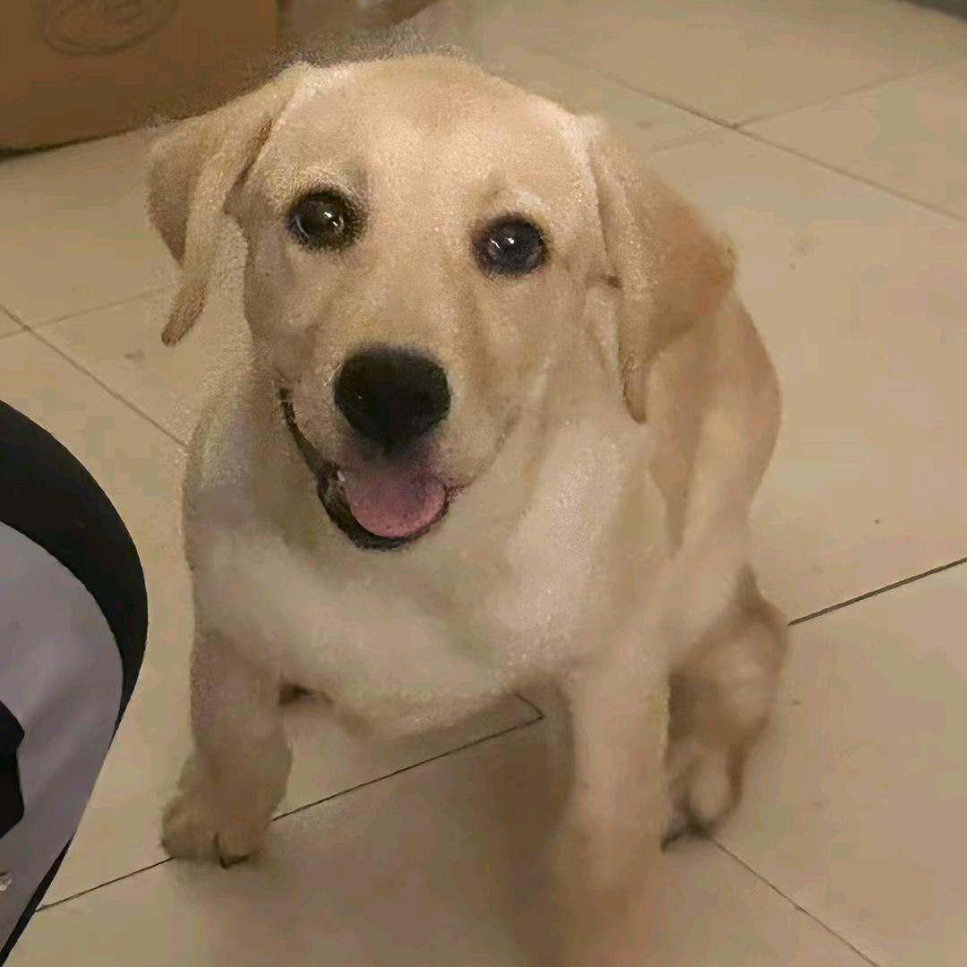 弄不赢吐口水😃