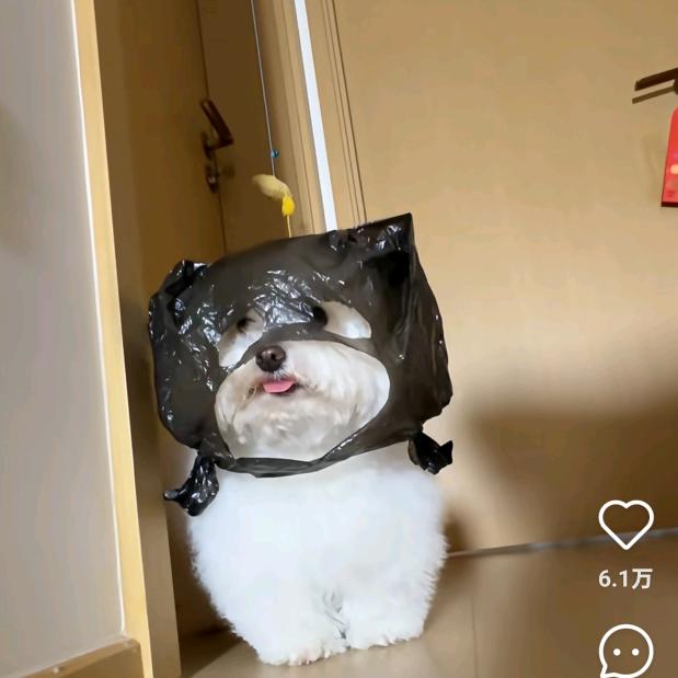 小张小张无比嚣张