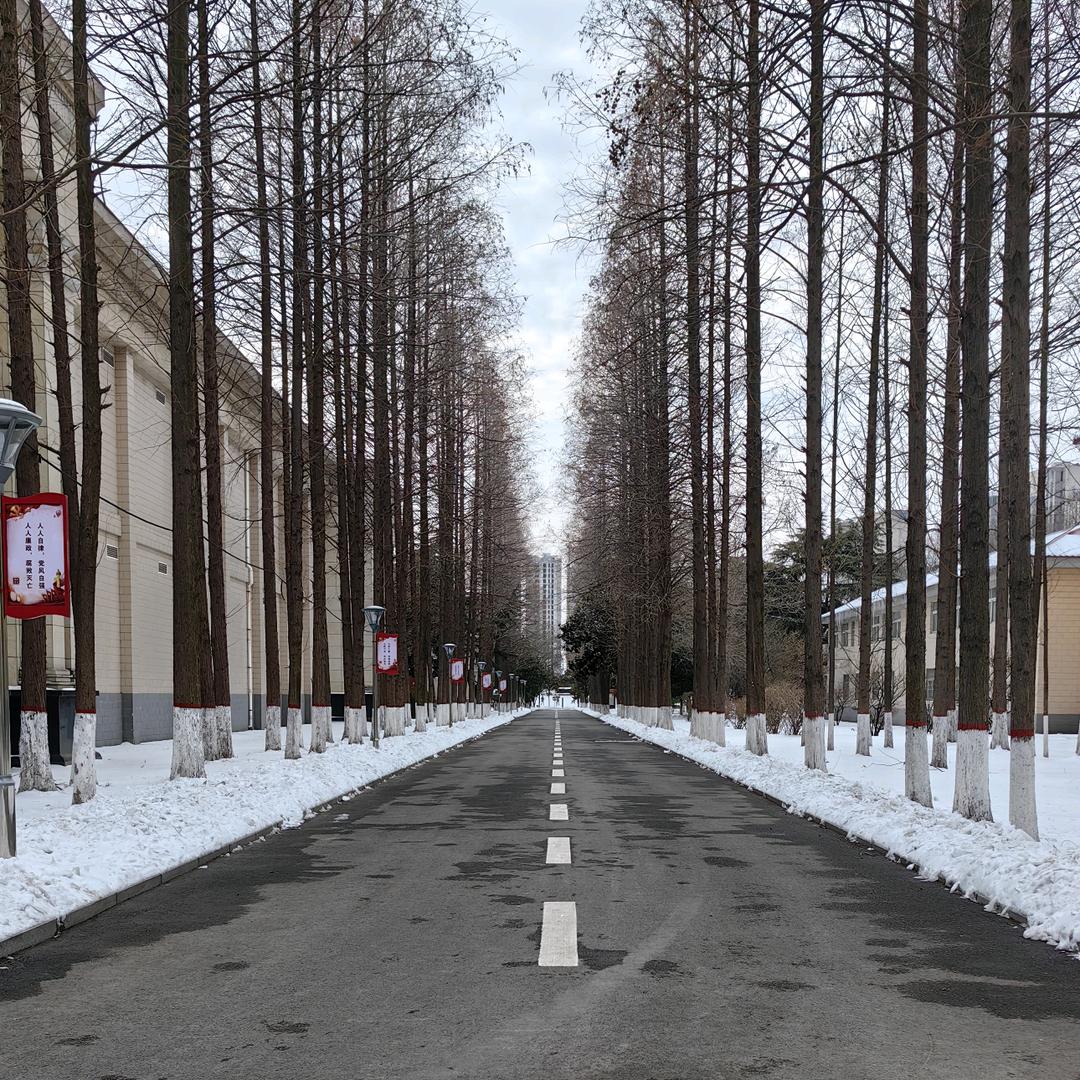 山水阳光头像