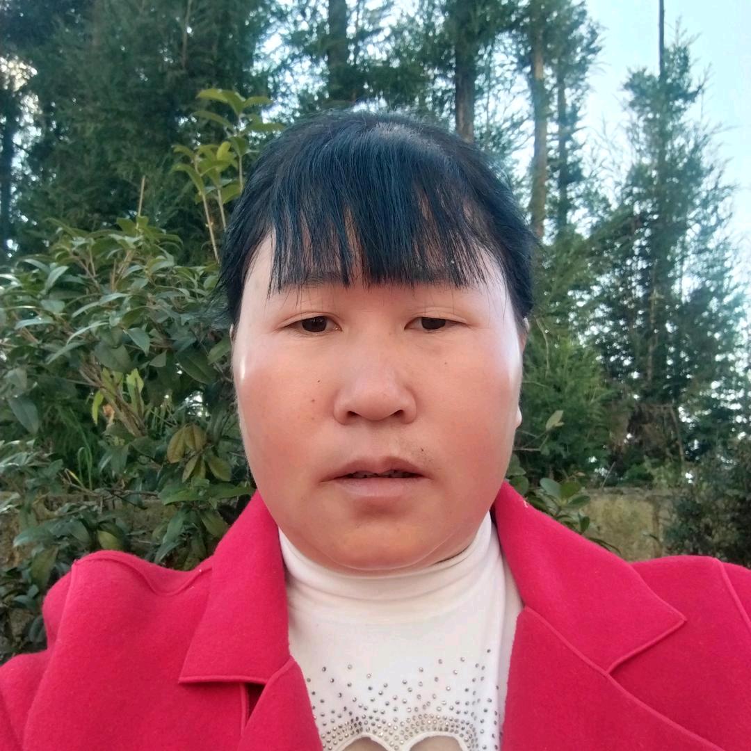 天天红尘