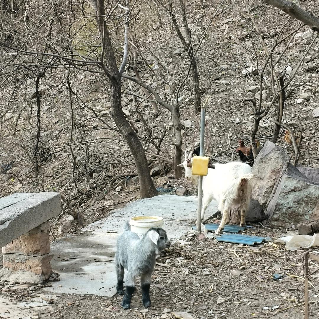 ໑ຼₒ₂₄ღ᭄李🦋꧔ꦿ᭄💞