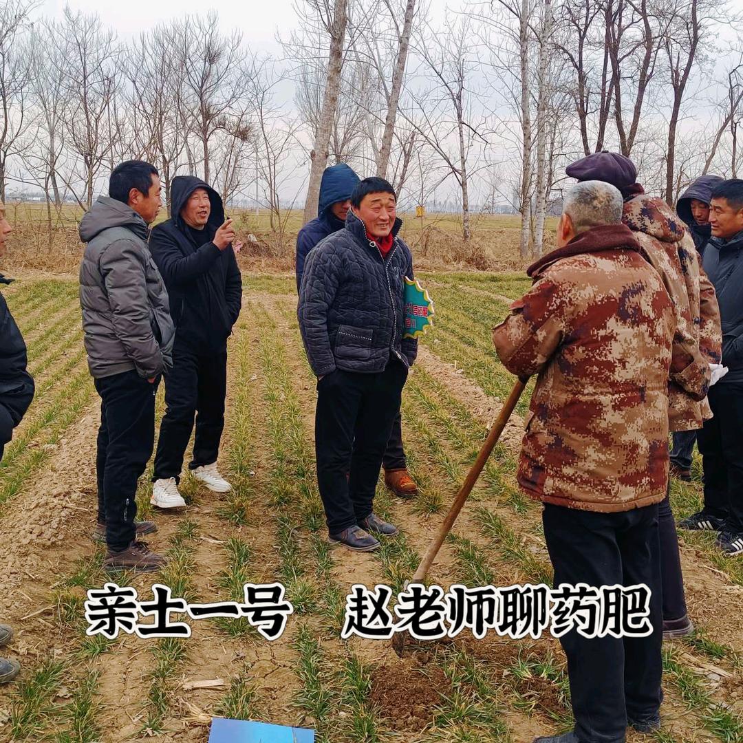 金黄色成熟的麦穗
