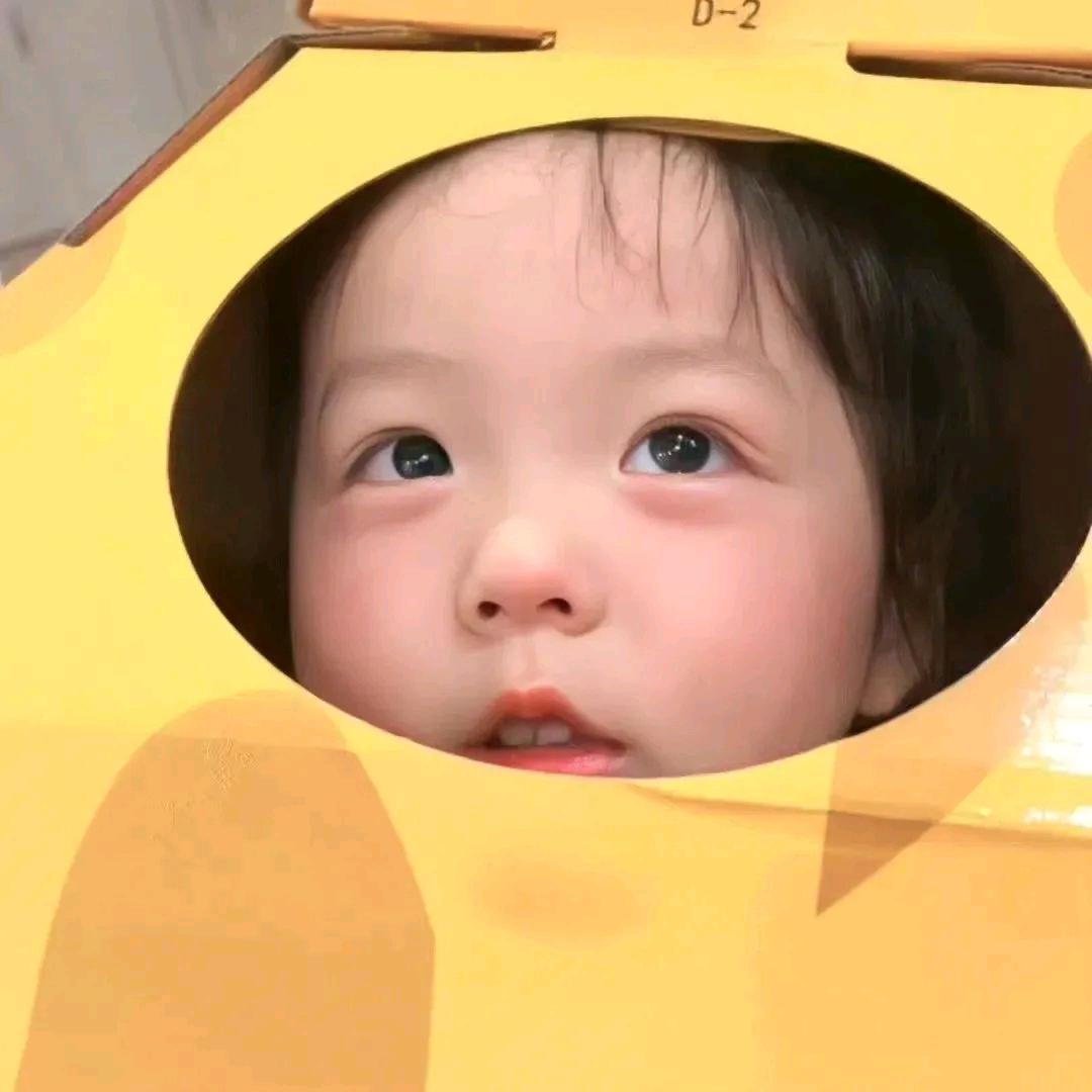 大头大头-