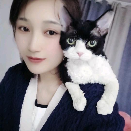 可乐