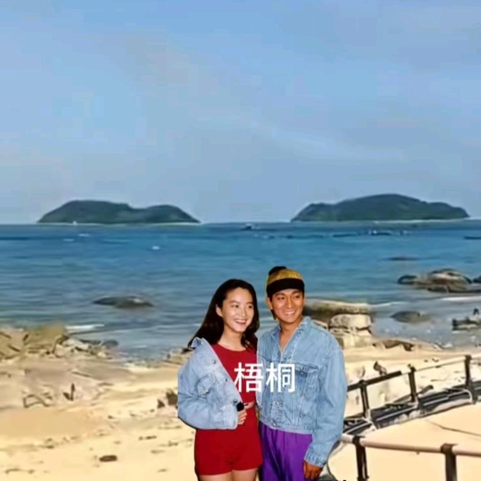 金桐梧