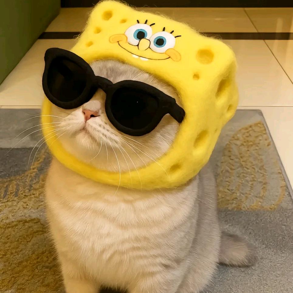 关键性₍ᐢ..ᐢ₎♡