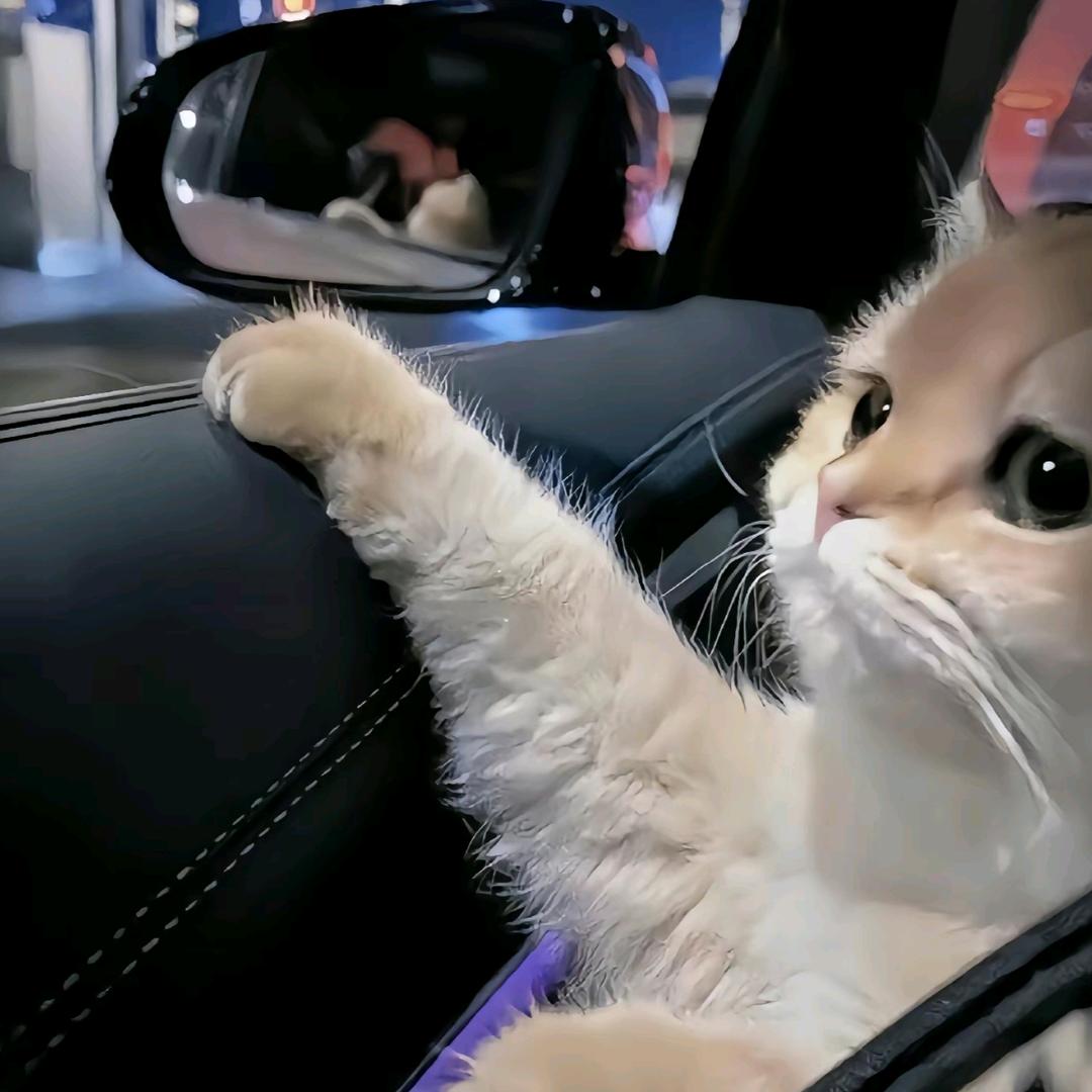 눈_눈