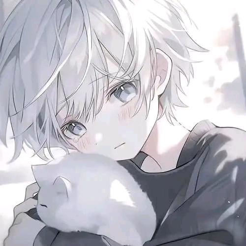 星伴雨轩