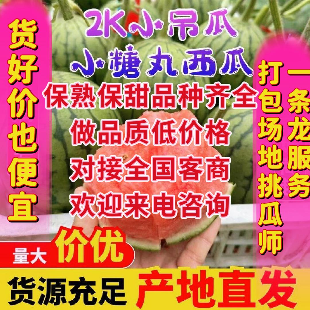 潍坊小李固堤西瓜瓜果蔬菜代收代办