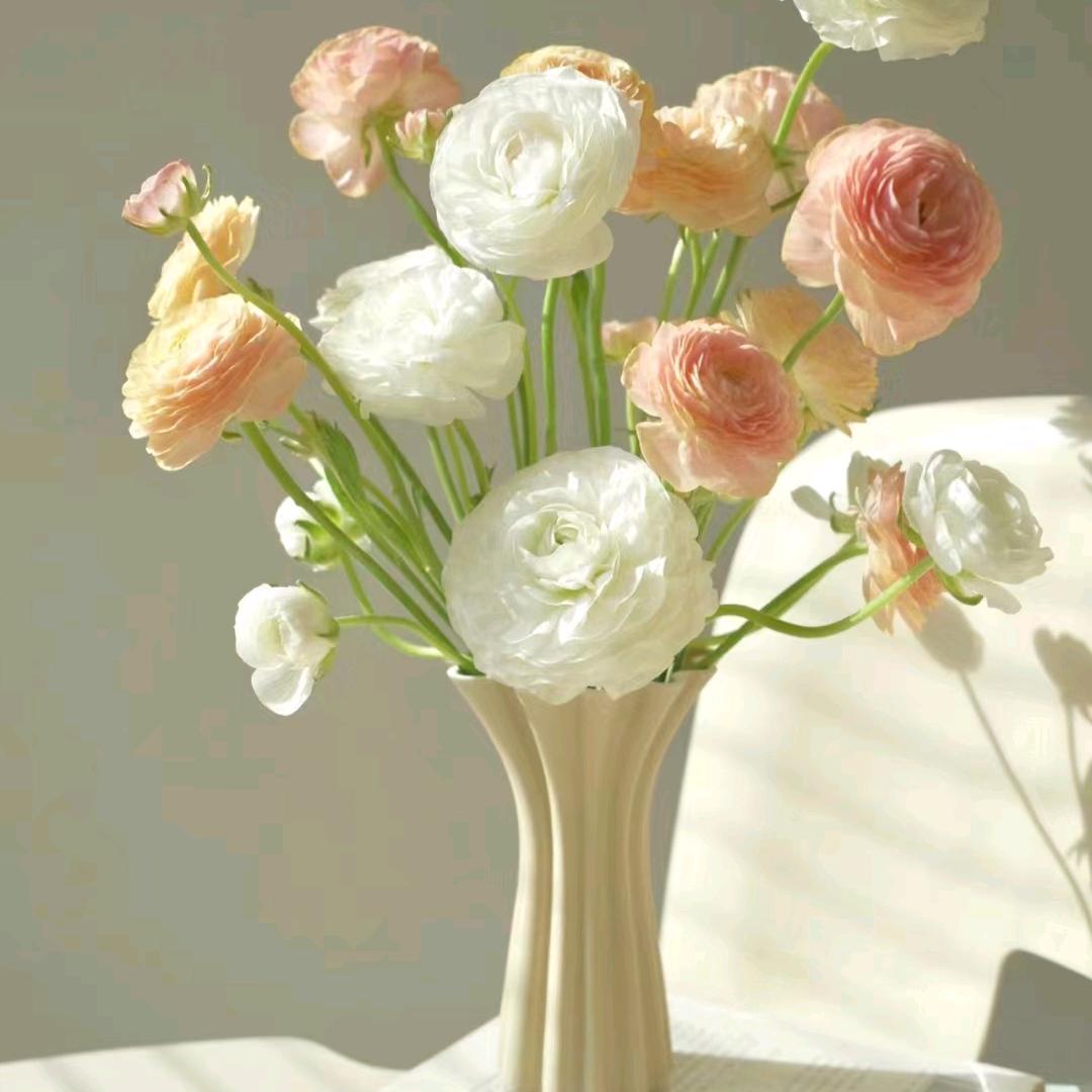 生命曙光💐