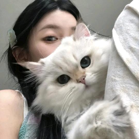 不讲理