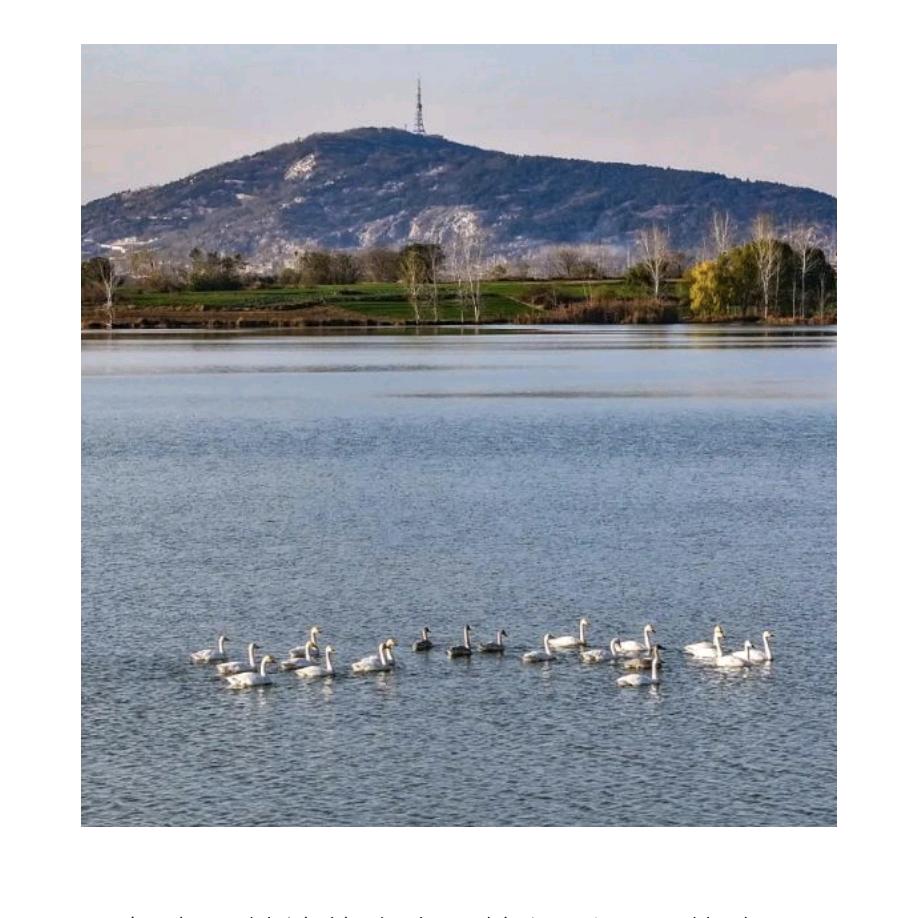 鸿盛景物资回收有限公司