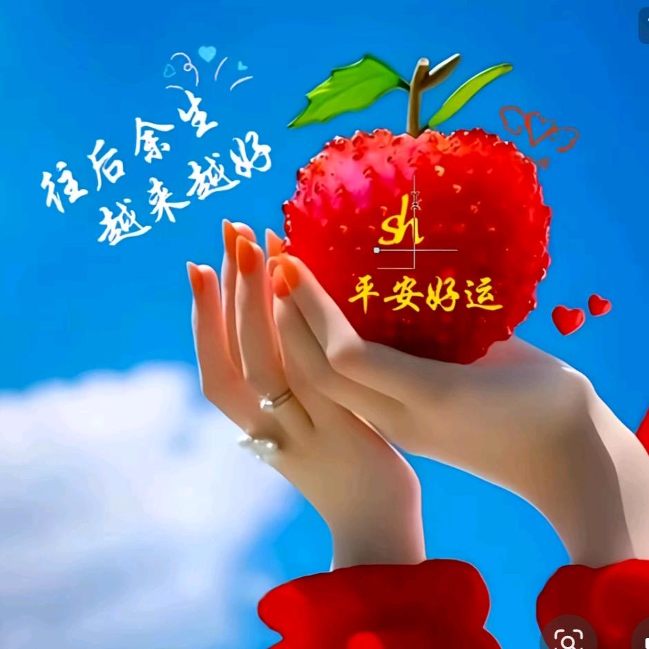 高青泓皓物流