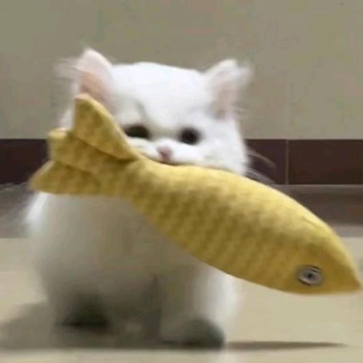 白衍