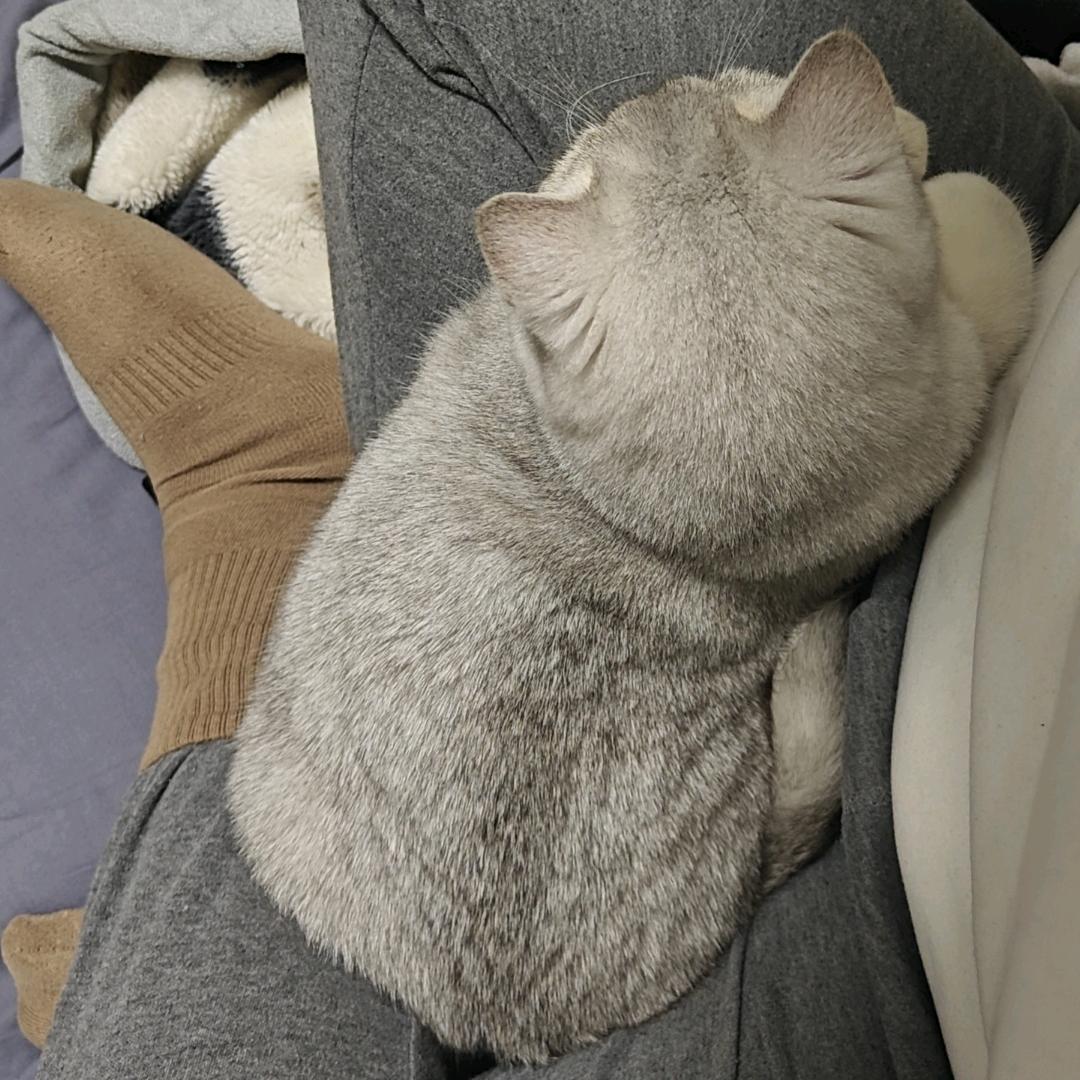 云曦