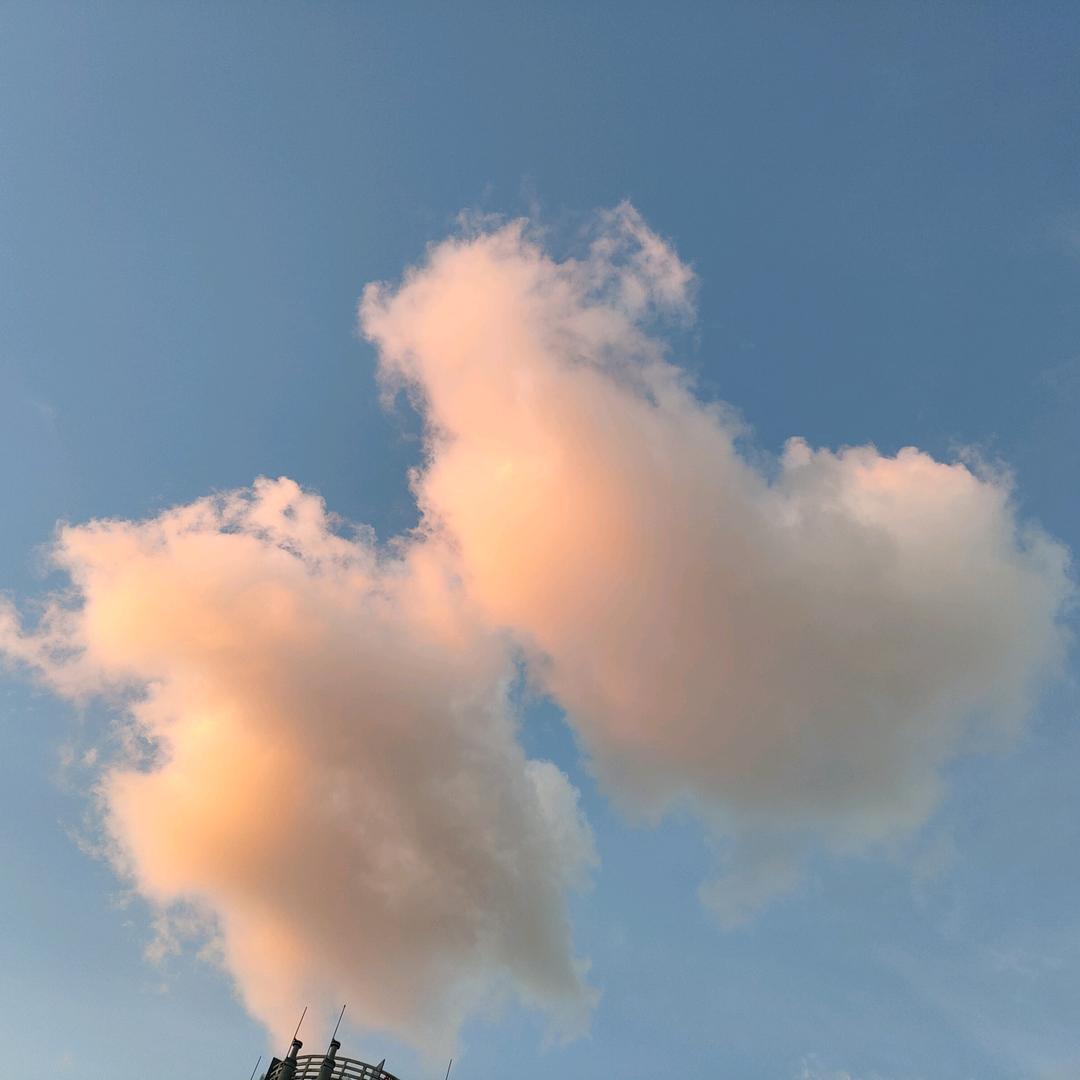 辋炟郍