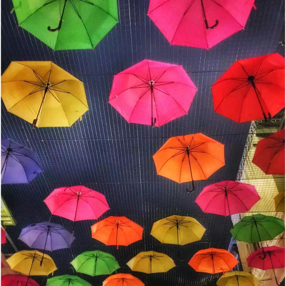 花的海洋