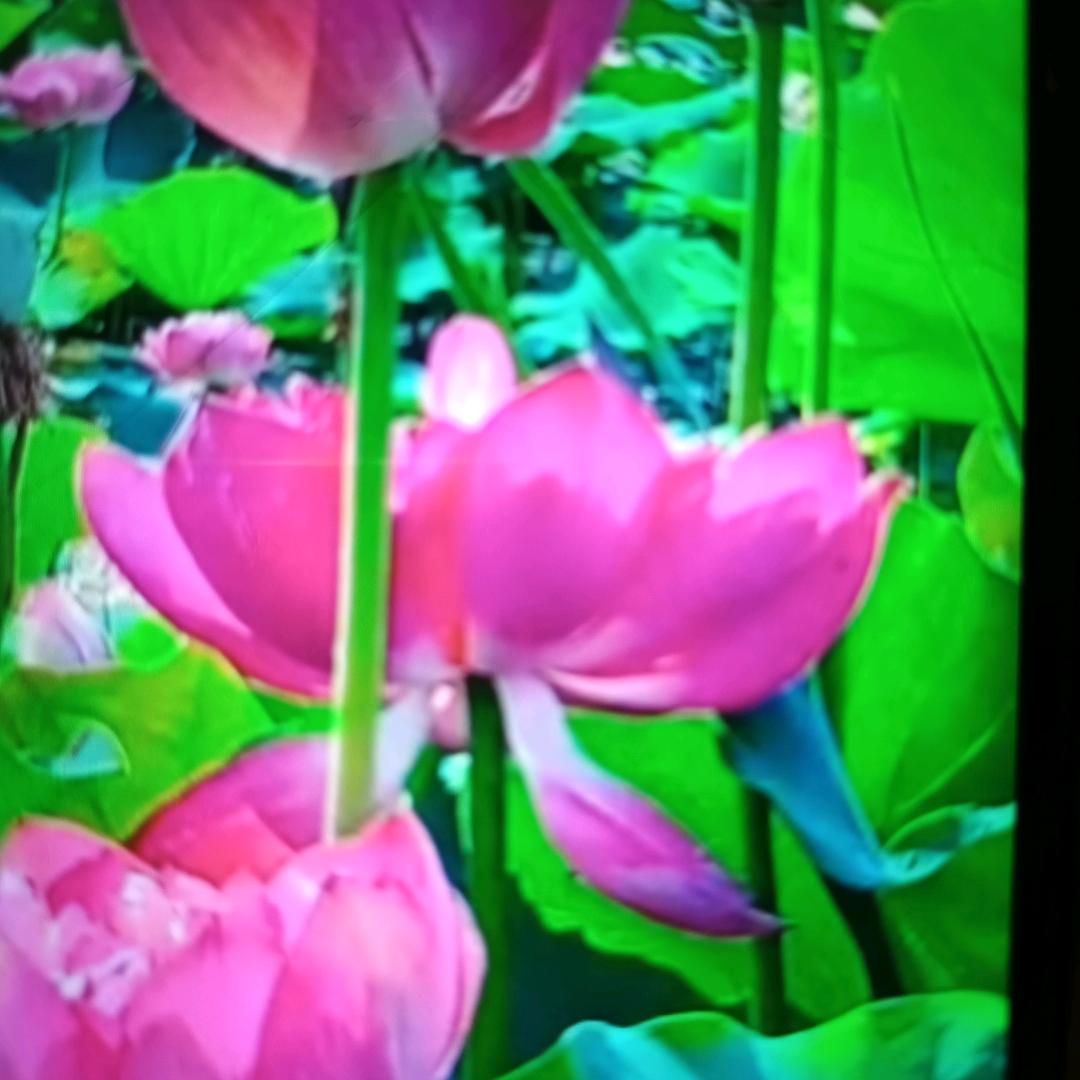 小微