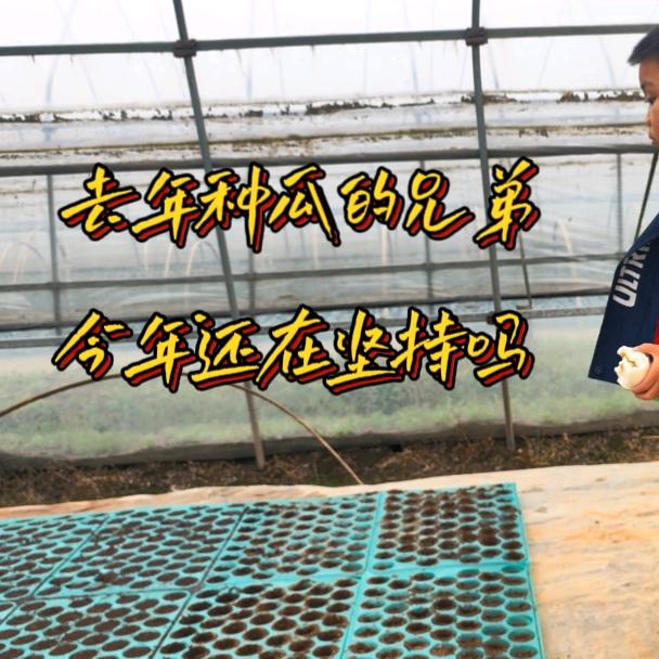 农场主阿青