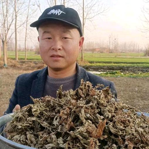 聚发源艾业(帽子哥艾草脚七膏)