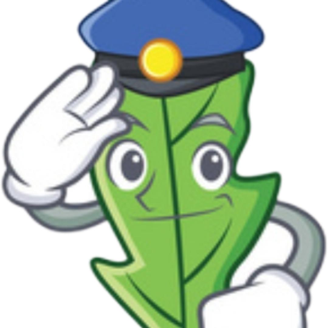 芝麻商行（少伟)