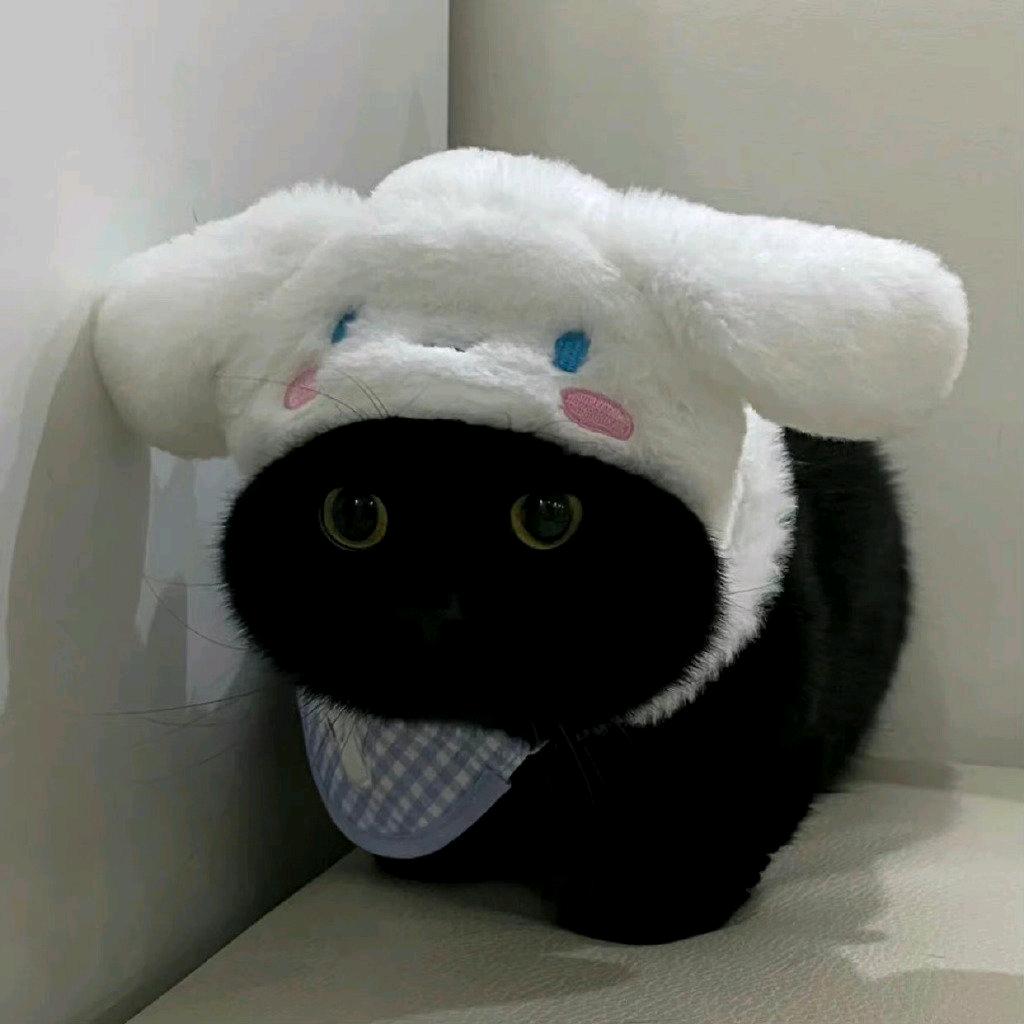 脆脆鲨hilih(财神爷的曲奇饼干版