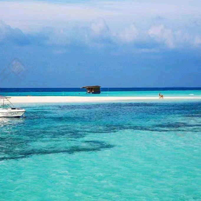 陌上花开，可缓缓归矣