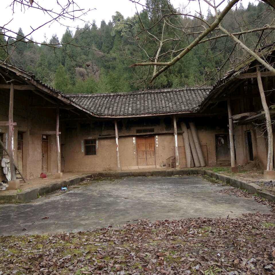 落叶