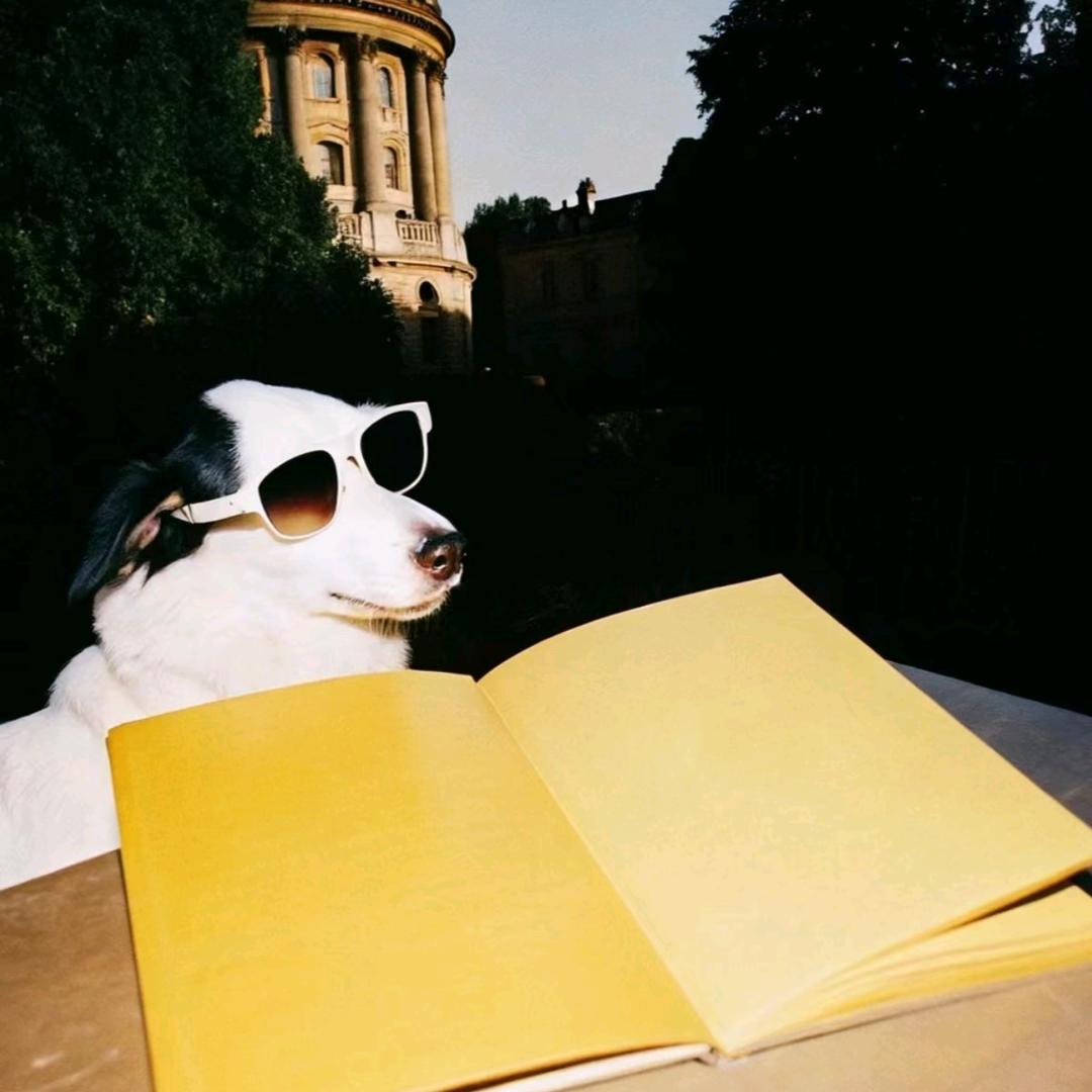 狗子的奇思妙想