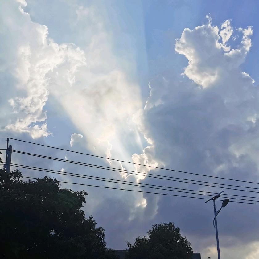 🌈 小李斯基吖
