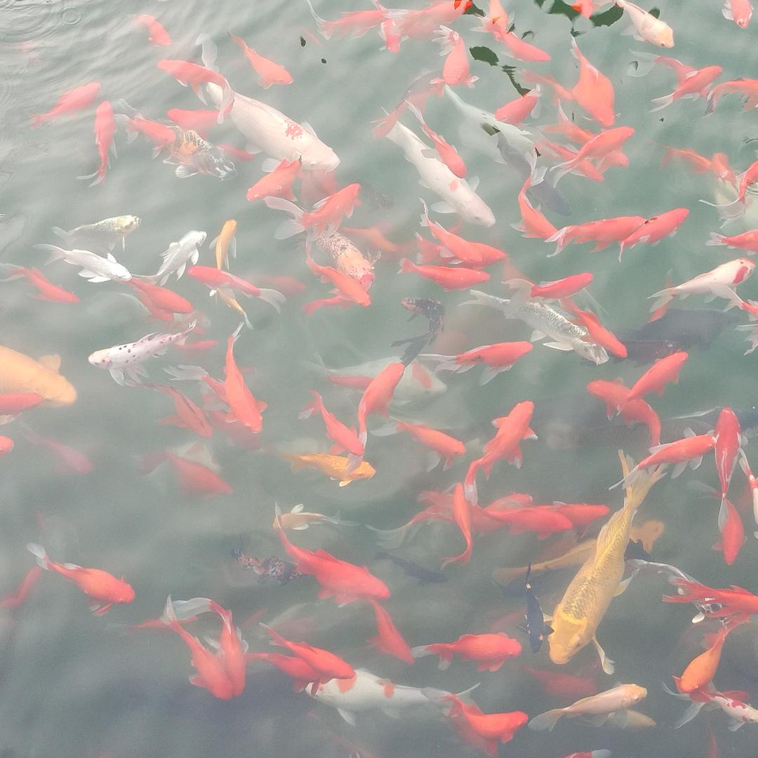 河南仟建建设李凯