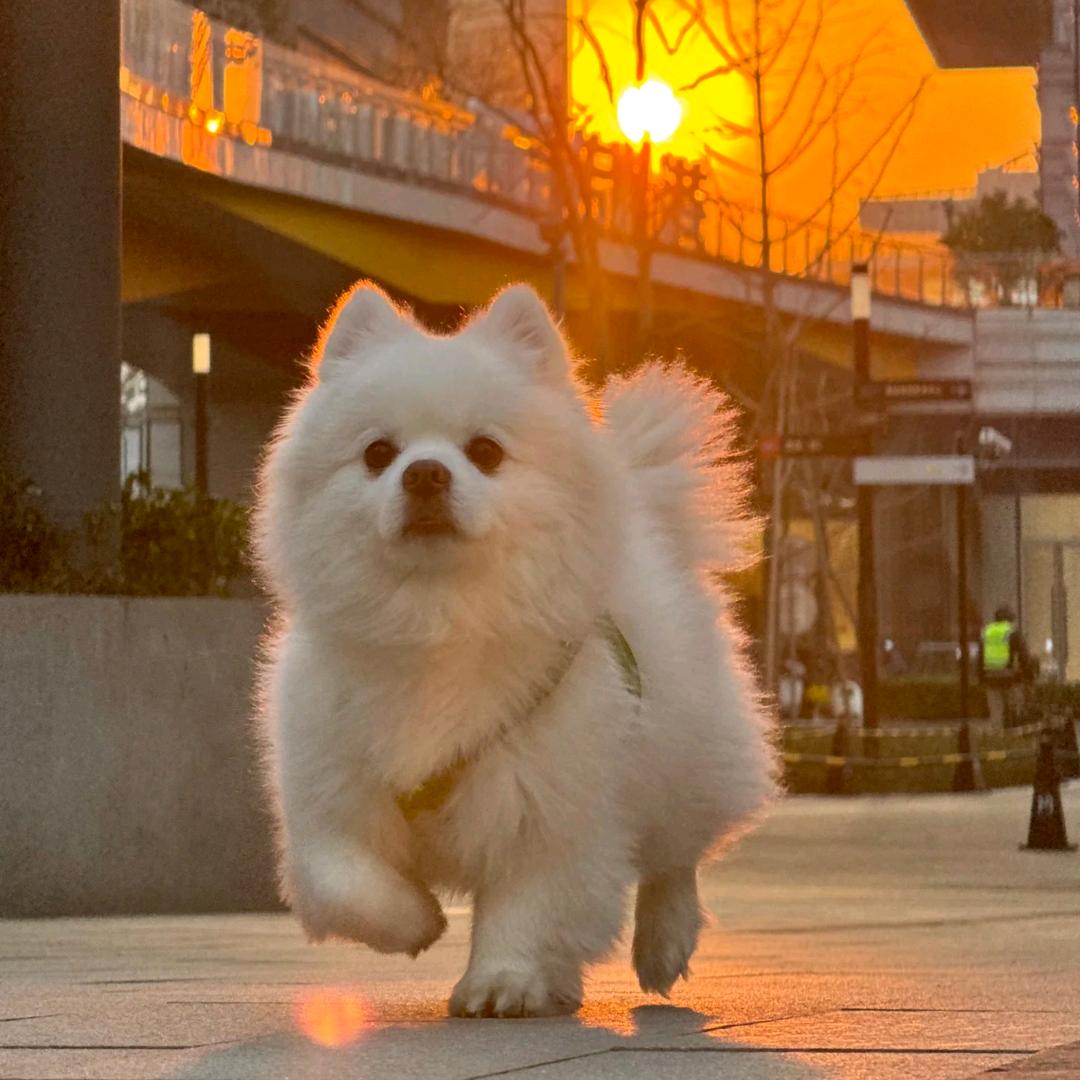 杨老师