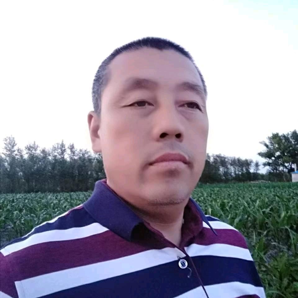醉仙读书