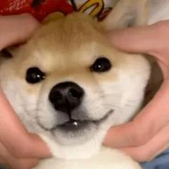 ㅤㅤㅤㅤ ㅤㅤㅤㅤ ㅤㅤㅤㅤ