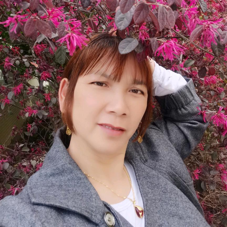 琴，拒绝合拍、拒绝秒赞