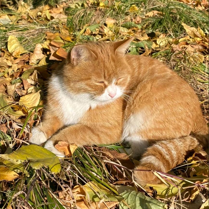 木下