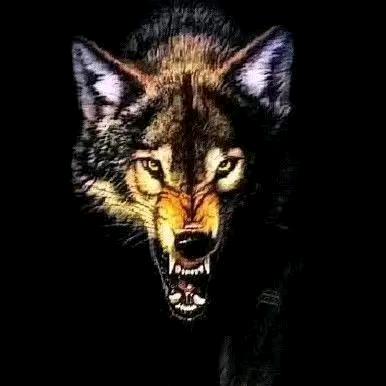 ╭(╯时光不负᭄